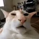 geh