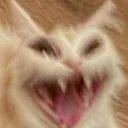 catscream
