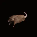 ratspinning