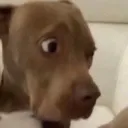 uhhhhhh