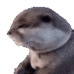 OtterGasp