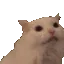 catscream