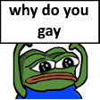 PepeWhyDoYouGay Discord emoji