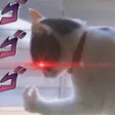 Diocat Discord Emoji