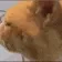 HUH