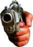 Gun