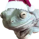 beeg_santa beeg_santa