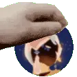 SkycordPats