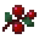 berries