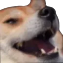 doghuehue