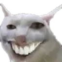 xd