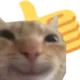 thumbsPositiveCat