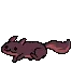 SquirrelDig