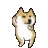 dogedance