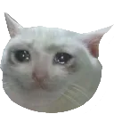 sad