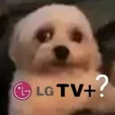 LGTV