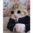 catofacha Discord emoji