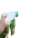 NO