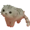 ElWiwi