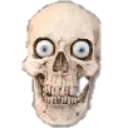 skull skull