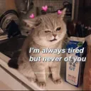catwinklove Discord Emoji