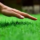 touchgrass