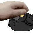 crowpat