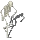skeletonpls