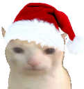 xmasbruhcat