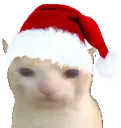 xmasbruhcat xmasbruhcat
