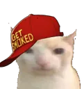 smokedbruhcat Discord Emoji