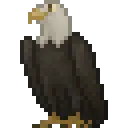 AmericanBirb