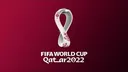 qatarwc