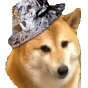 tinfoilshib tinfoilshib