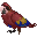 PirateBirb