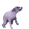 c_e_dancedog