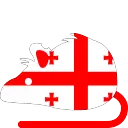 rat_Georgia