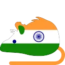 rat_India