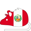 rat_Peru