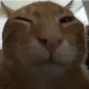 buh