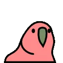 MBparrotconfused
