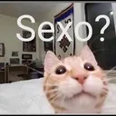 sexo