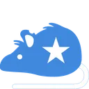 rat_Somalia
