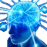 BigBrain