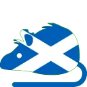 rat_Scotland