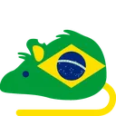 rat_Brazil