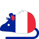 rat_France