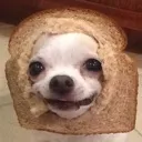 cheese