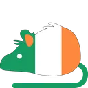 rat_Ireland