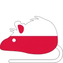 rat_Poland